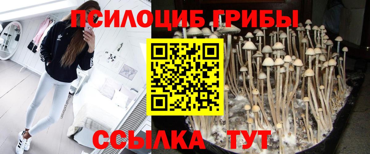 Сыктывкар  Псилоцибиновые грибы мухоморы  Вход с VPN 