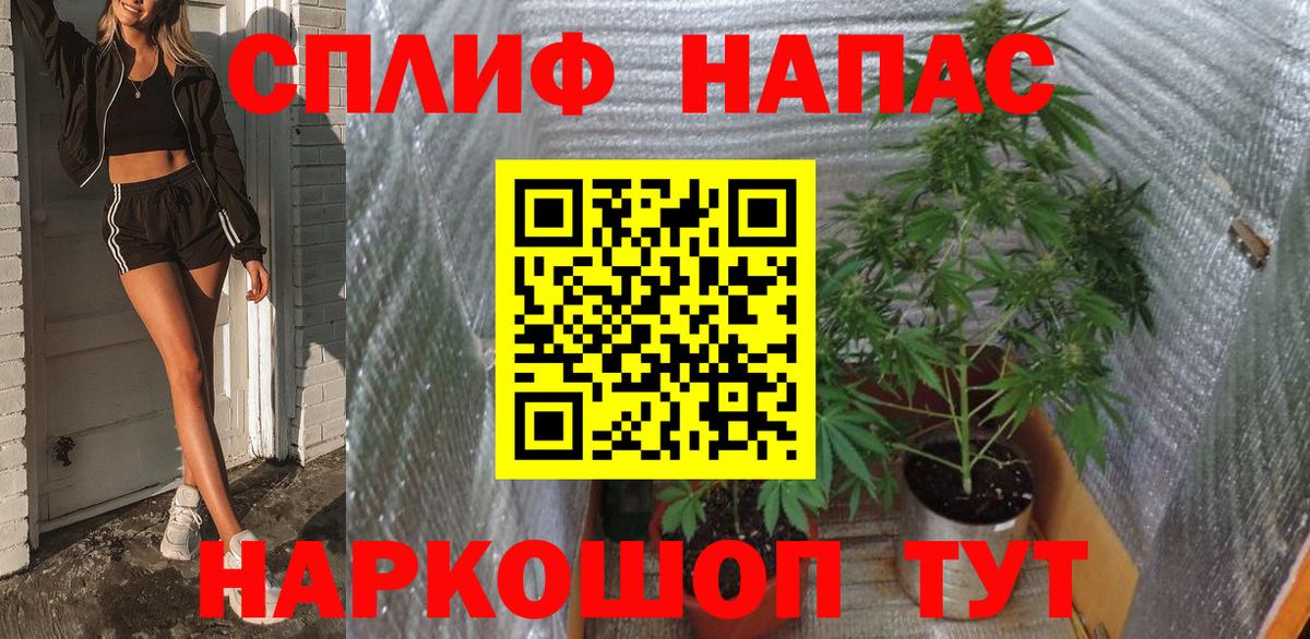 Канабис сатива Сыктывкар